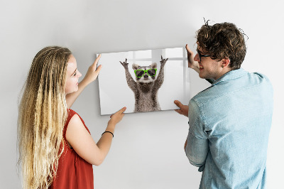 Magnettafel zum schreiben Fröhlicher Waschbär mit Bildern
