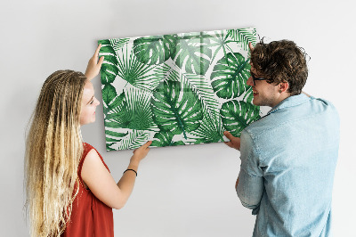 Magnettafel zum schreiben Grüne Tafel für Fotos und Notizen