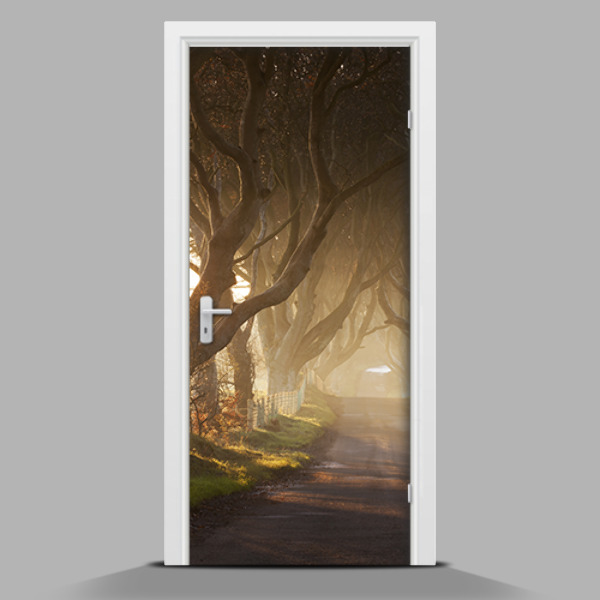 Türaufkleber Riesenbäume