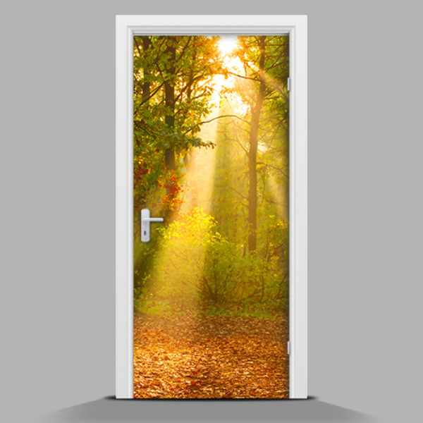 Selbstklebende Türtapete mit Motiv Wunderschöner Wald am Morgen