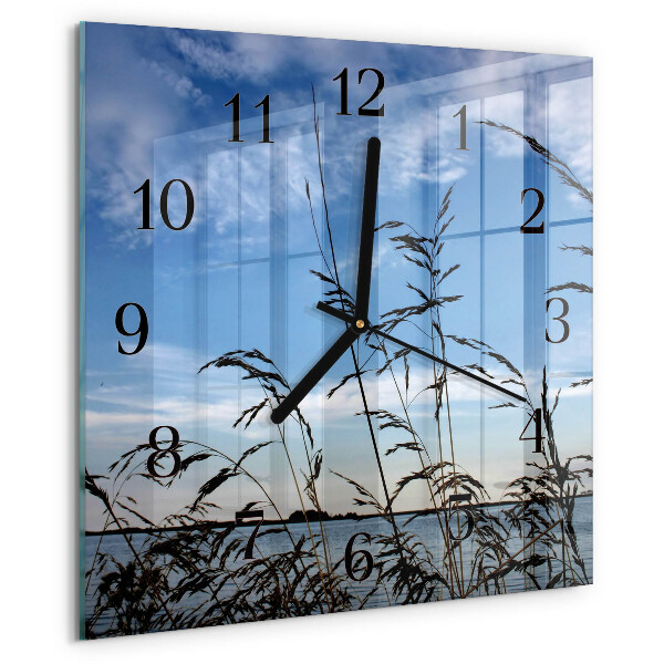 Wanduhr aus glas Gras