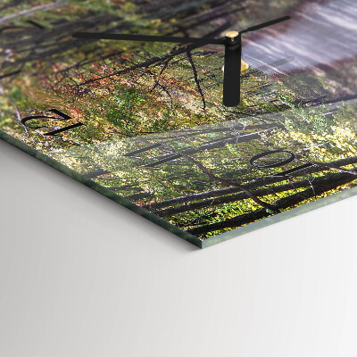 Wanduhr aus glas Waldweg