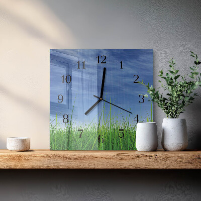 Wanduhr aus glas Gras