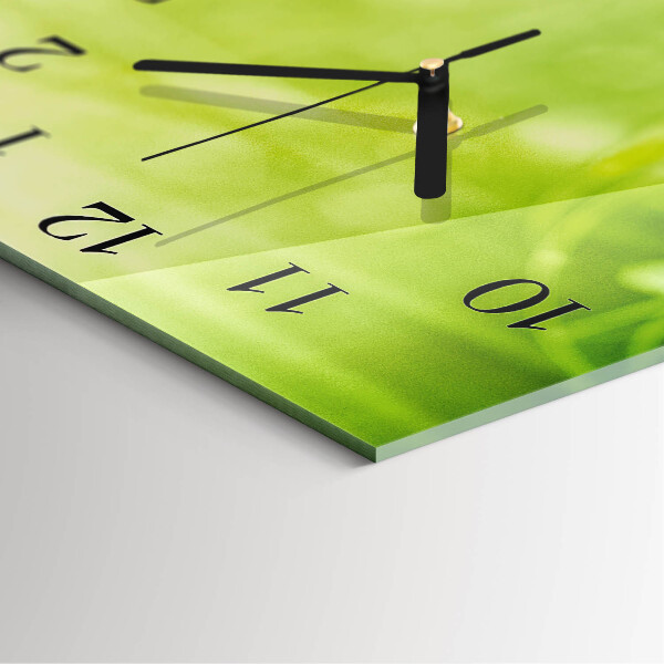 Wanduhr aus glas Gras