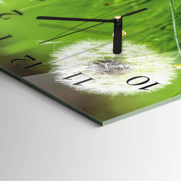Wanduhr aus glas Löwenzahn