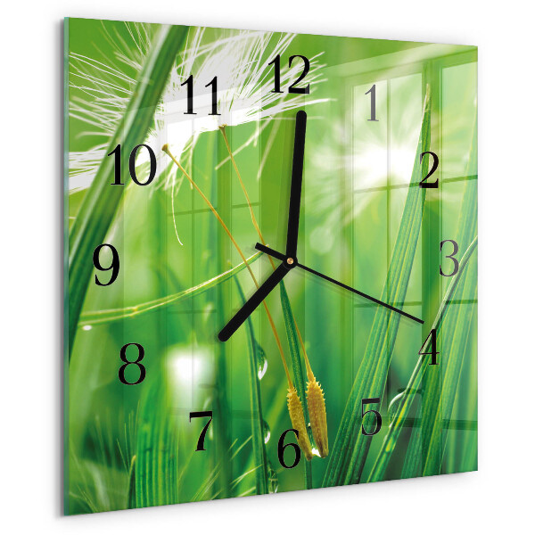 Wanduhr aus glas Gras