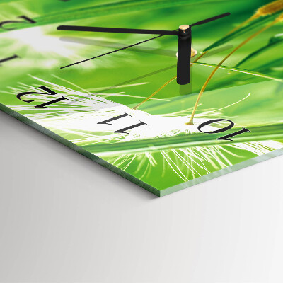 Wanduhr aus glas Gras