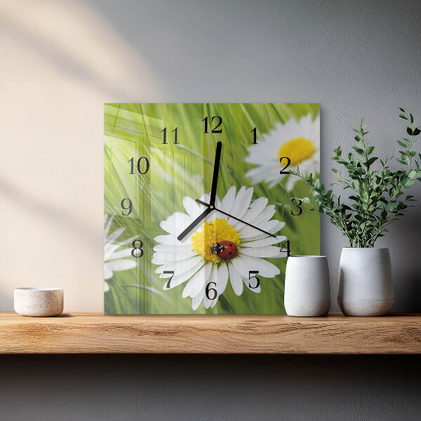 Wanduhr aus glas Gänseblümchen