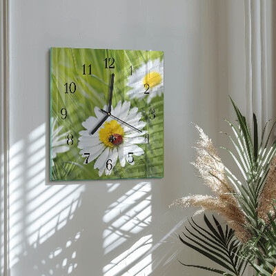 Wanduhr aus glas Gänseblümchen