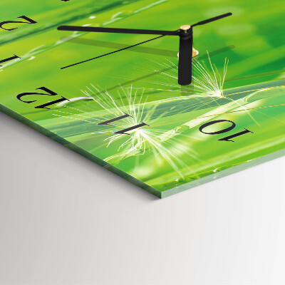 Wanduhr aus glas Gras