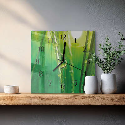 Wanduhr aus glas Grastropfen
