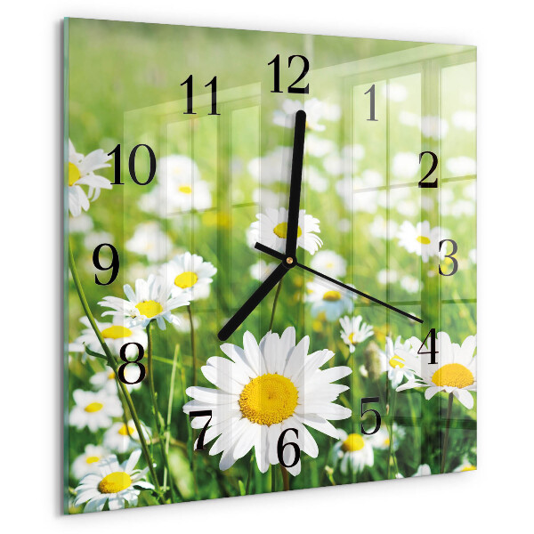 Wanduhr aus glas Gänseblümchen
