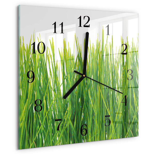 Wanduhr aus glas Gras