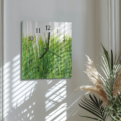 Wanduhr aus glas Gras