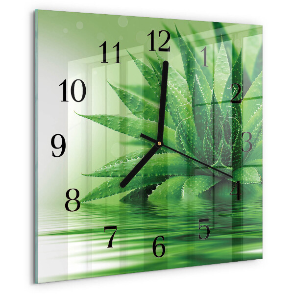 Wanduhr aus glas Aloe