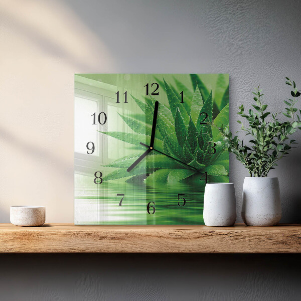 Wanduhr aus glas Aloe