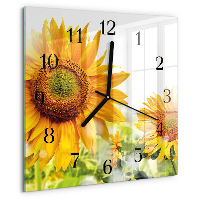 Wanduhr aus glas Sonnenblume