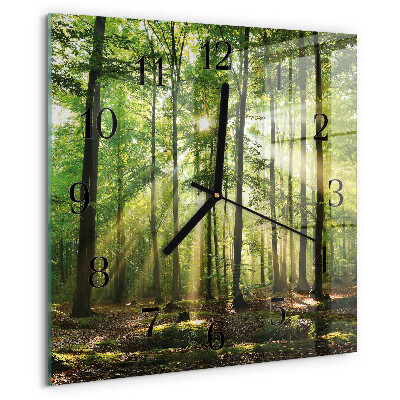 Wanduhr aus glas Waldnatur