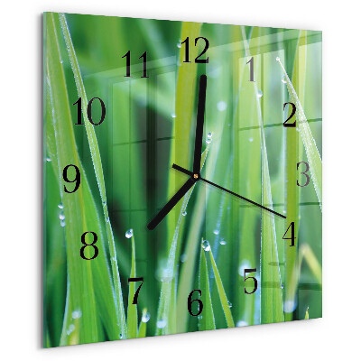 Wanduhr aus glas Gras