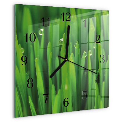 Wanduhr aus glas Gras