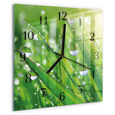 Wanduhr aus glas Tau
