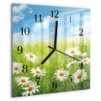 Wanduhr aus glas Wiese