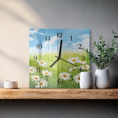 Wanduhr aus glas Wiese