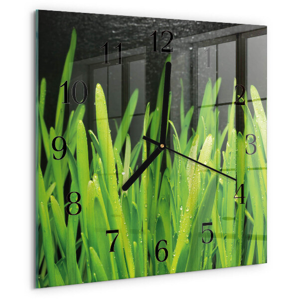 Wanduhr aus glas Gras