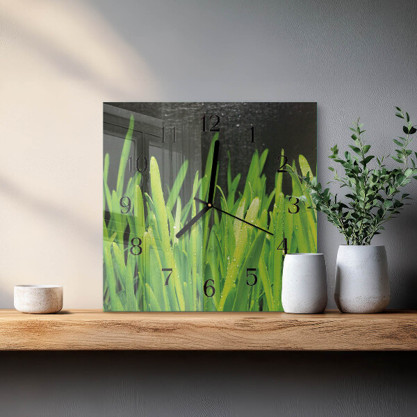 Wanduhr aus glas Gras