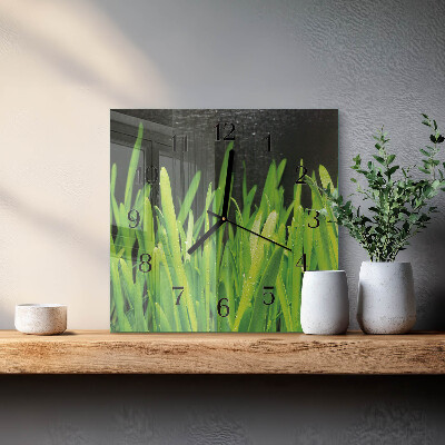 Wanduhr aus glas Gras