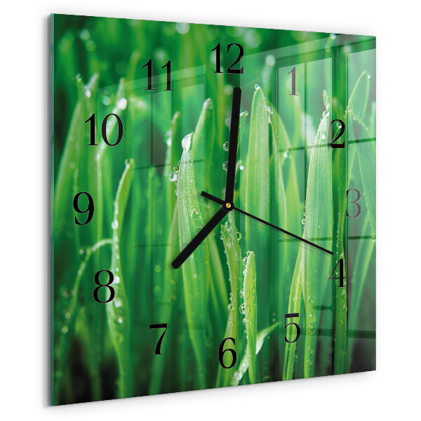 Wanduhr aus glas Grünes Gras