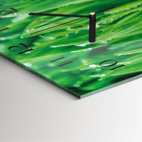 Wanduhr aus glas Grünes Gras