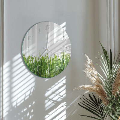 Glas wanduhr Gras