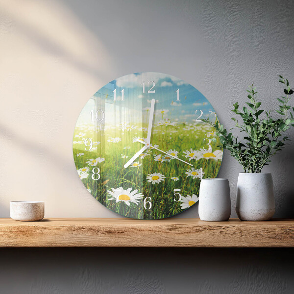 Glas wanduhr Gänseblümchen