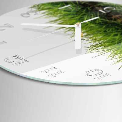 Glas wanduhr Gras