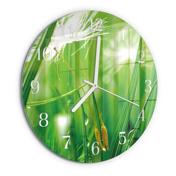 Glas wanduhr Gras