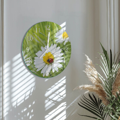 Glas wanduhr Gänseblümchen