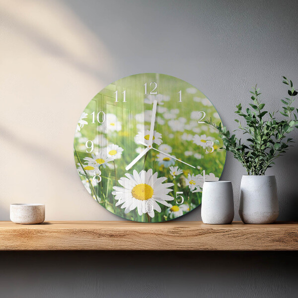 Glas wanduhr Gänseblümchen