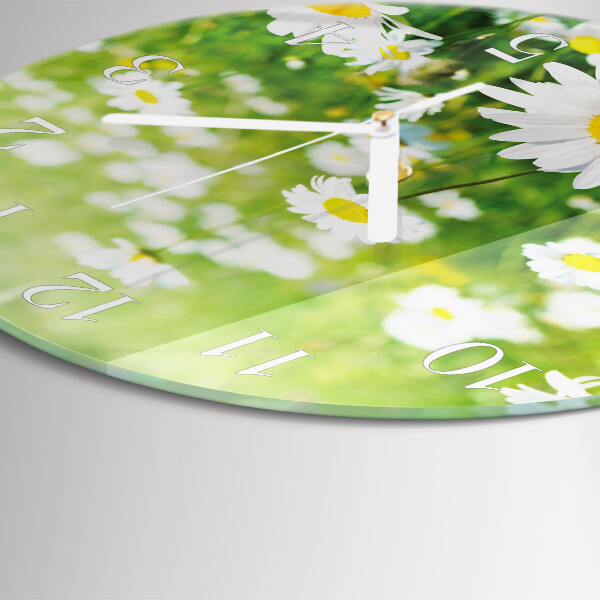 Glas wanduhr Gänseblümchen