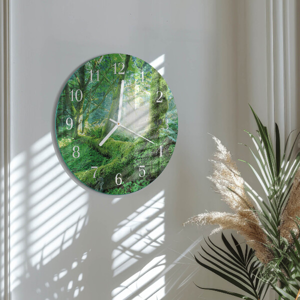 Glas wanduhr Waldmoos