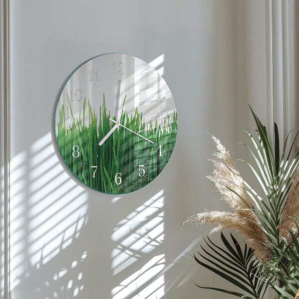 Glas wanduhr Gras
