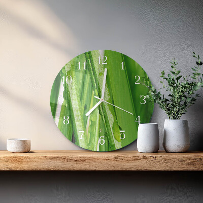 Glas wanduhr Gras