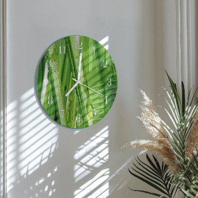 Glas wanduhr Gras