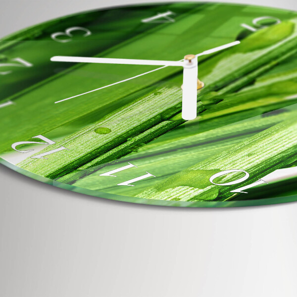 Glas wanduhr Gras