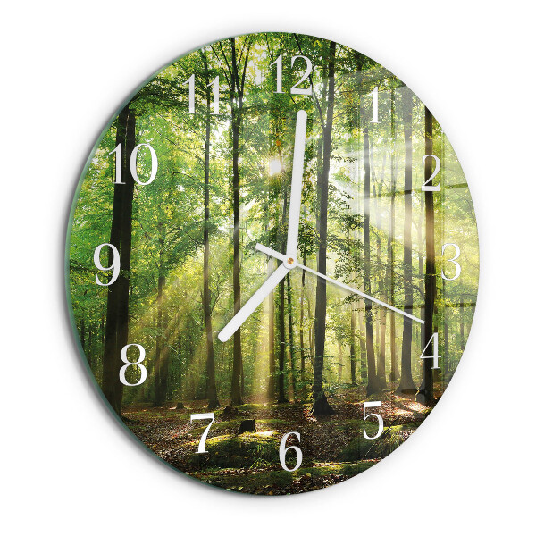 Glas wanduhr Waldnatur