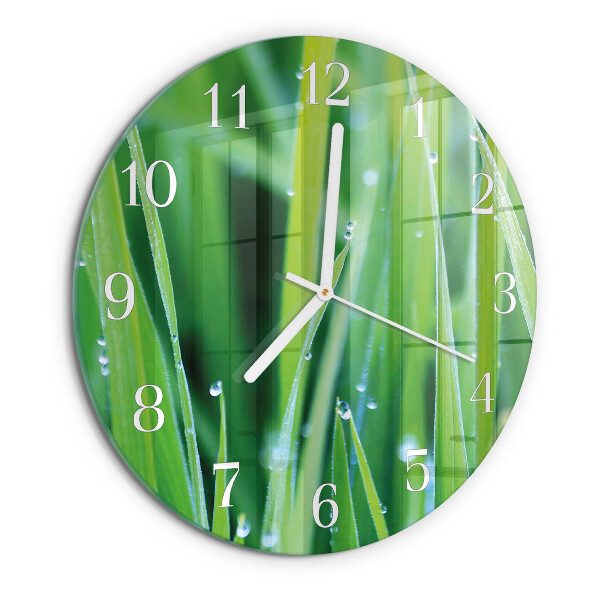 Glas wanduhr Gras
