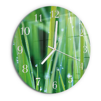 Glas wanduhr Gras