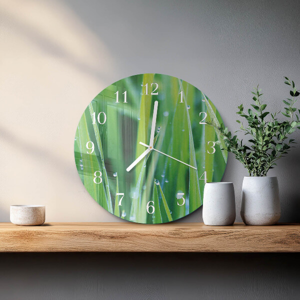 Glas wanduhr Gras