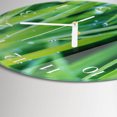Glas wanduhr Gras