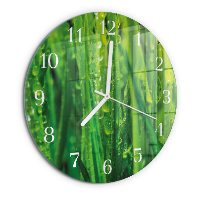 Glas wanduhr Gras